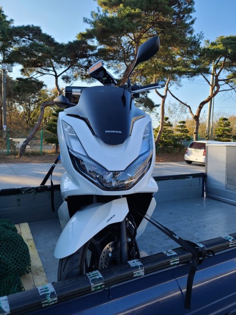 1120_경기 수원 PCX 1.jpg